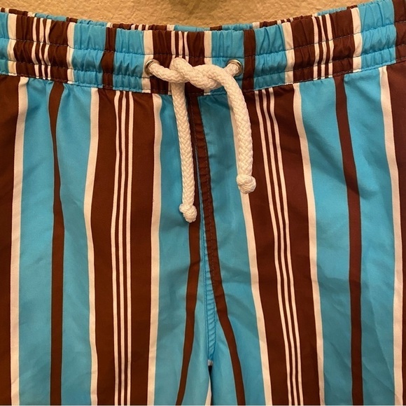 TAILORBYRD Men Blue Brown Striped Swim Trunk Shorts Size Medium - Picture 3 of 9